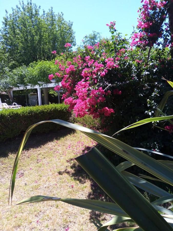 Holiday home La Quinta De Pablo *